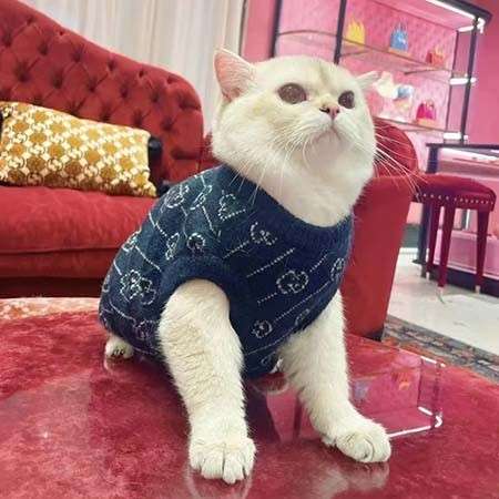 Gucciペット服 セーター