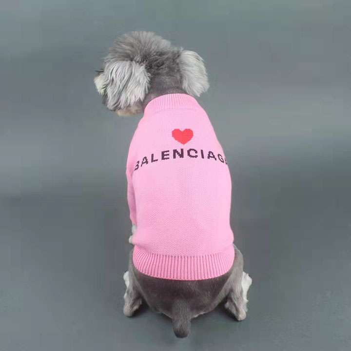 balenciaga 犬用品 ファッションブランド 綺麗